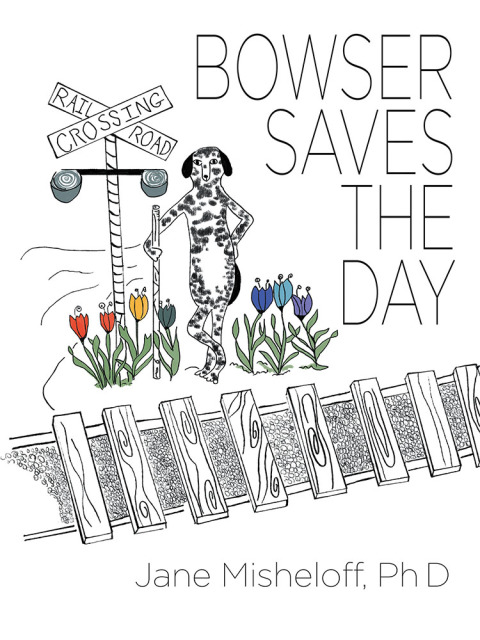 Cover image for book Bowser Saves the Day