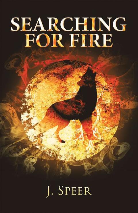 Cover image for book Searching for Fire