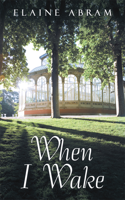 Cover image for book When I Wake