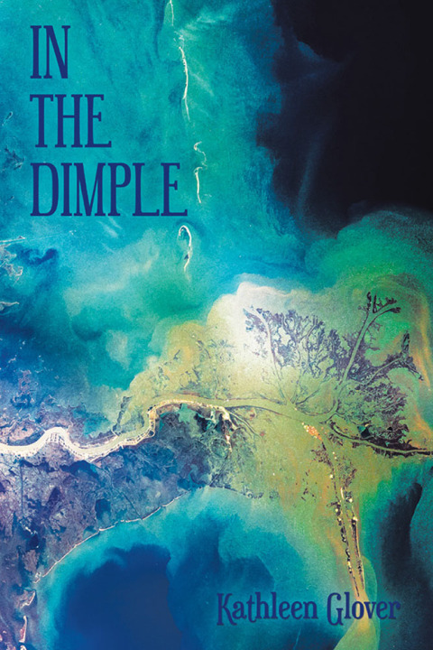 Cover image for book In the Dimple