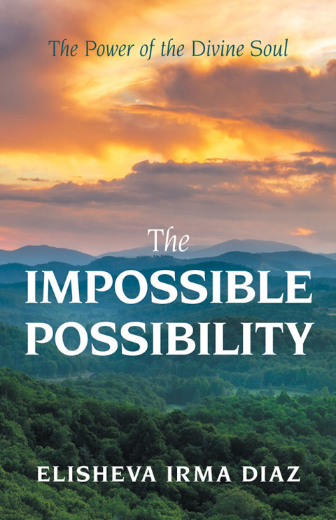 Cover image for book The Impossible Possibility