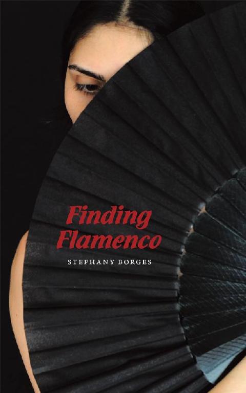 Cover image for book Finding Flamenco