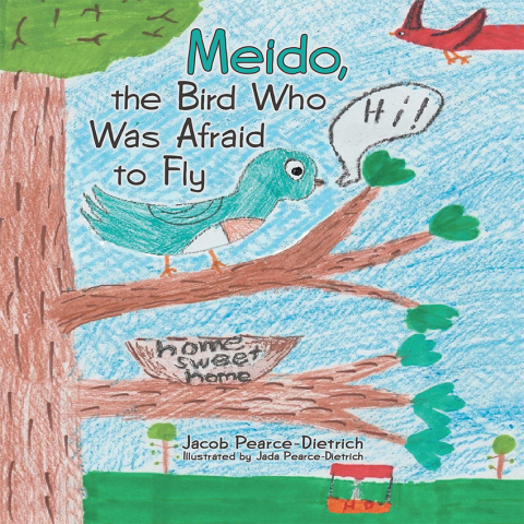 Cover image for book Meido, the Bird Who Was Afraid to Fly