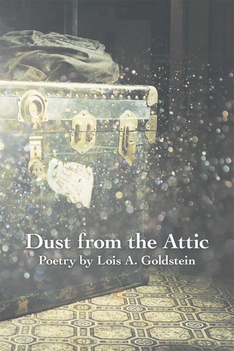 Cover image for book Dust from the Attic