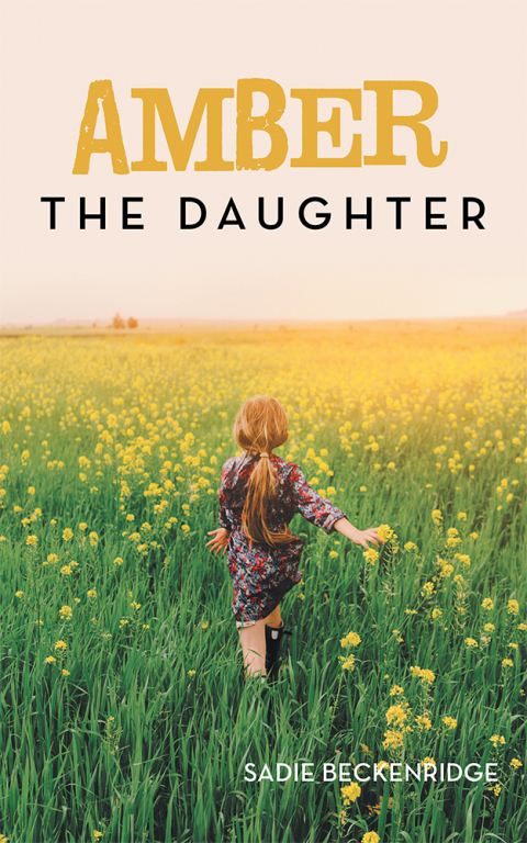 Cover image for book Amber