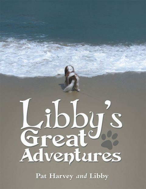 Cover image for book Libby’s Great Adventures