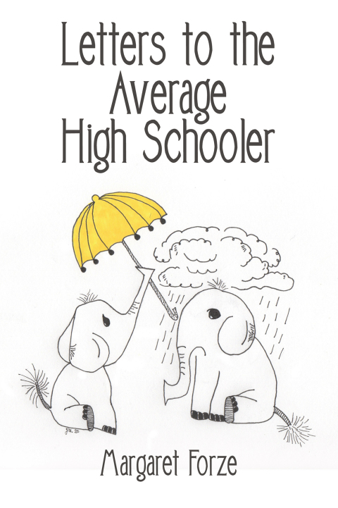 Cover image for book Letters to the Average High Schooler