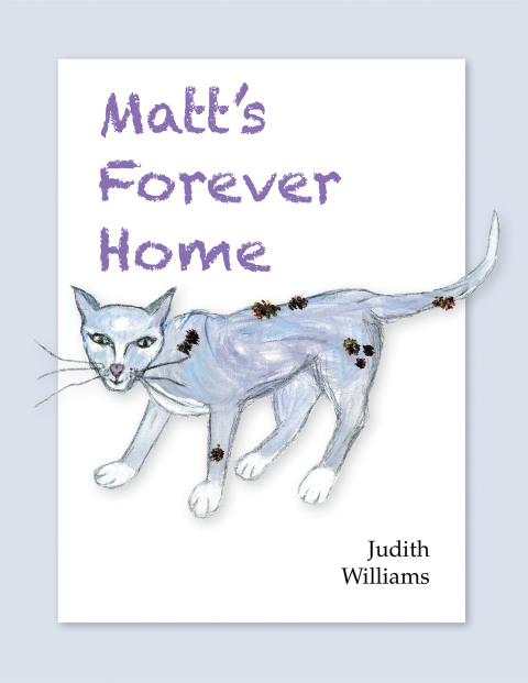 Cover image for book Matt’s Forever Home
