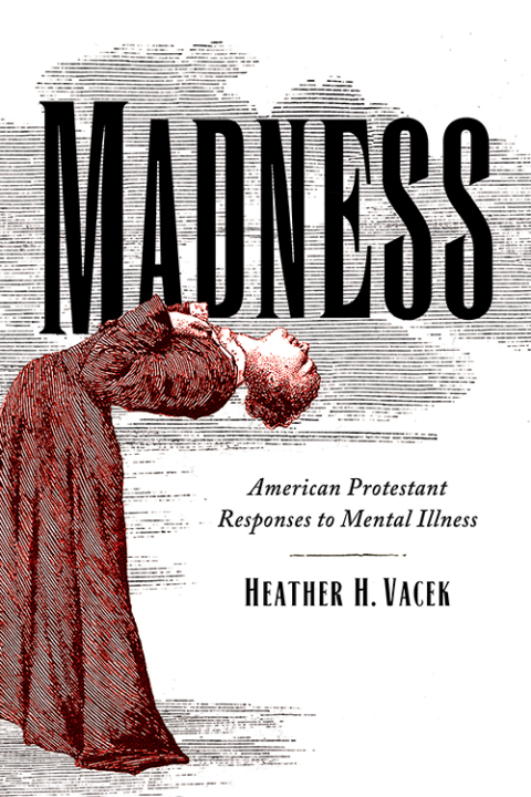 Cover image for book Madness