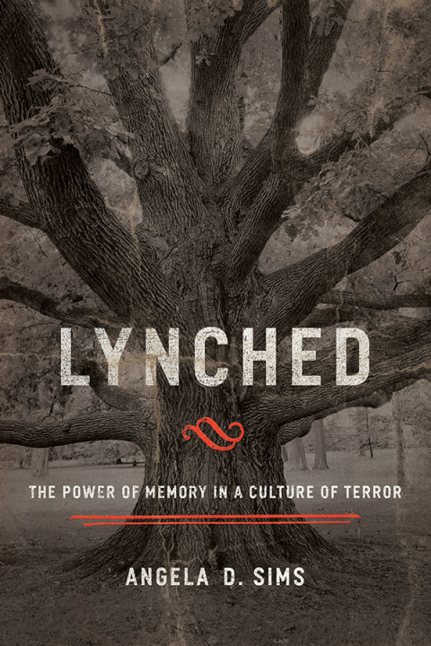 Cover image for book Lynched