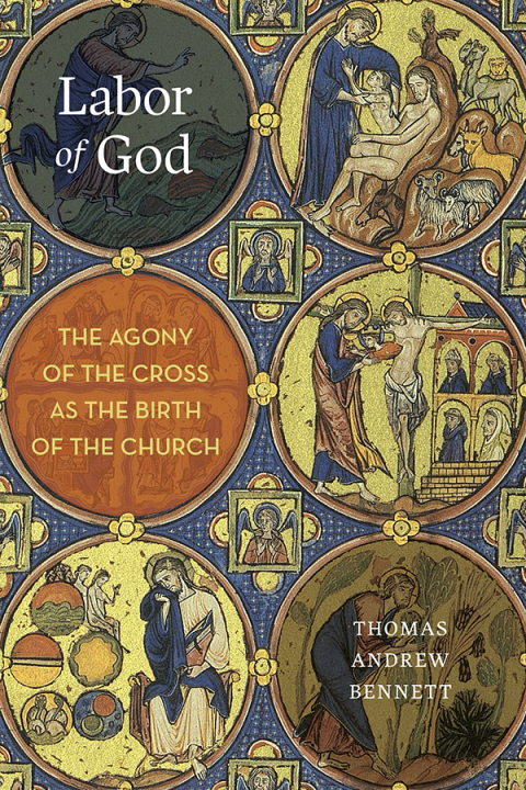 Cover image for book Labor of God