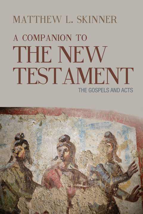 Cover image for book A Companion to the New Testament