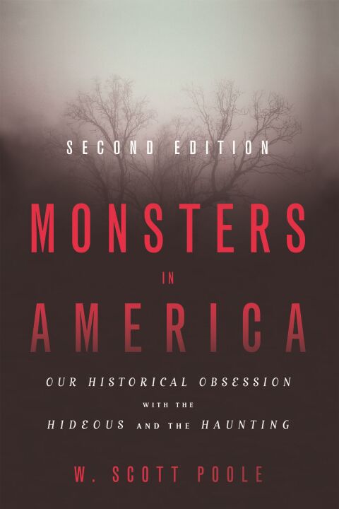 Cover image for book Monsters in America