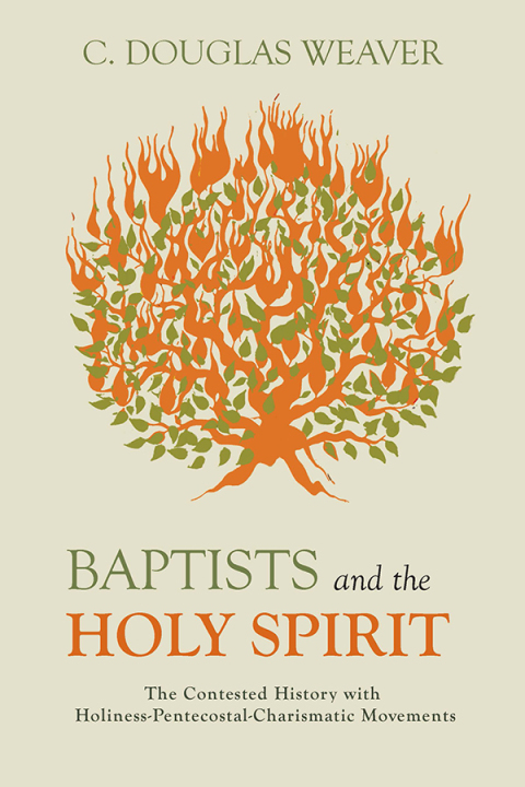 Cover image for book Baptists and the Holy Spirit