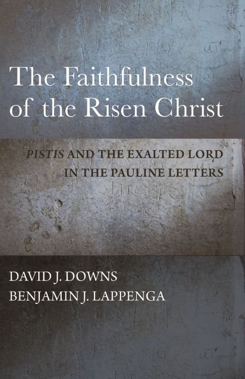 Cover image for book The Faithfulness of the Risen Christ
