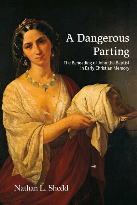 Cover image for book A Dangerous Parting