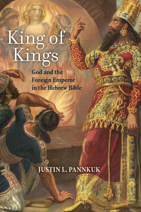 Cover image for book King of Kings