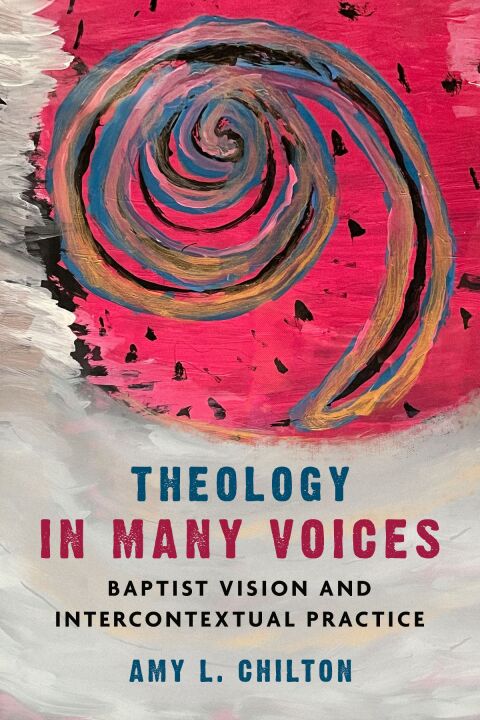 Cover image for book Theology in Many Voices