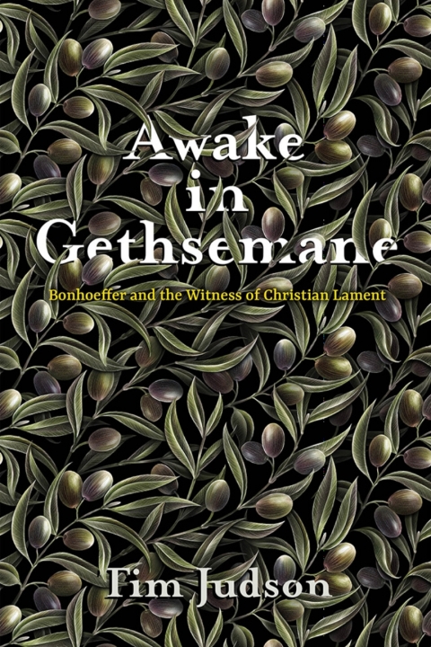 Cover image for book Awake in Gethsemane