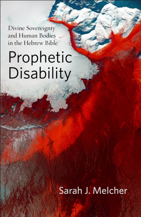 Cover image for book Prophetic Disability