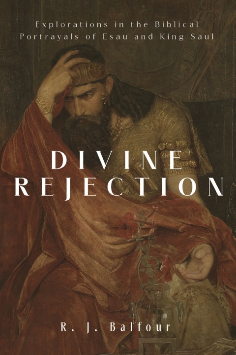 Cover image for book Divine Rejection