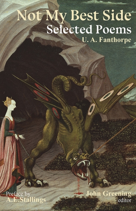 Cover image for book Not My Best Side
