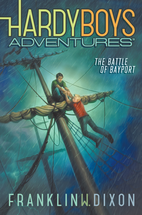 Cover image for book The Battle of Bayport