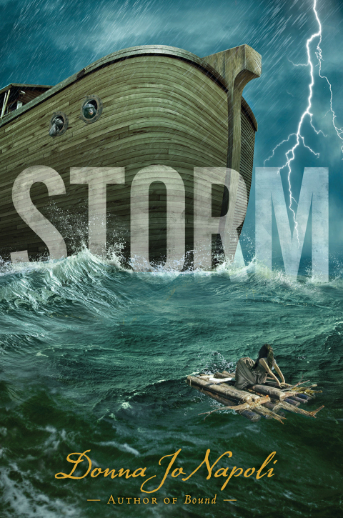 Cover image for book Storm