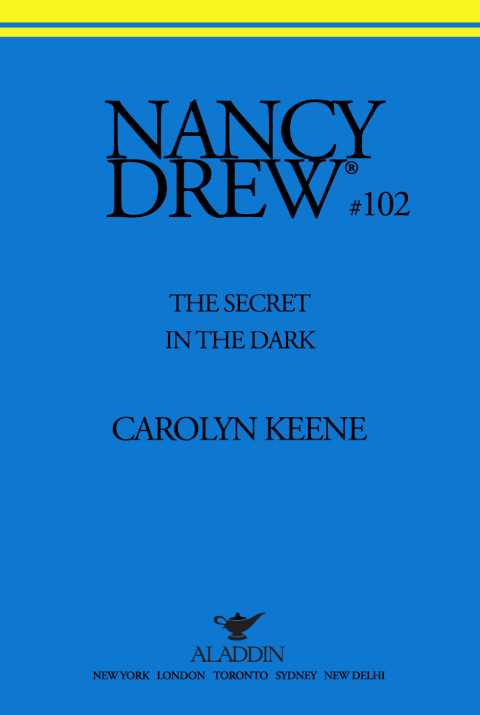 Cover image for book The Secret in the Dark