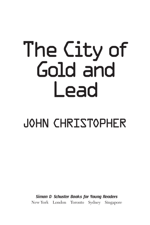 Cover image for book The City of Gold and Lead