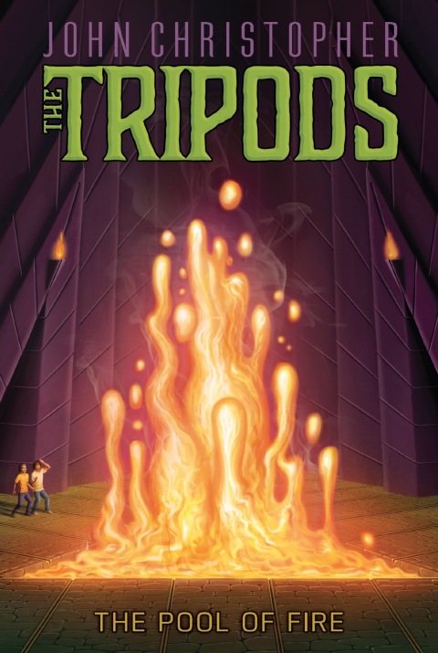 Cover image for book The Pool of Fire