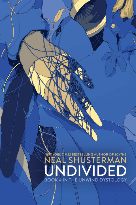 Cover image for book UnDivided