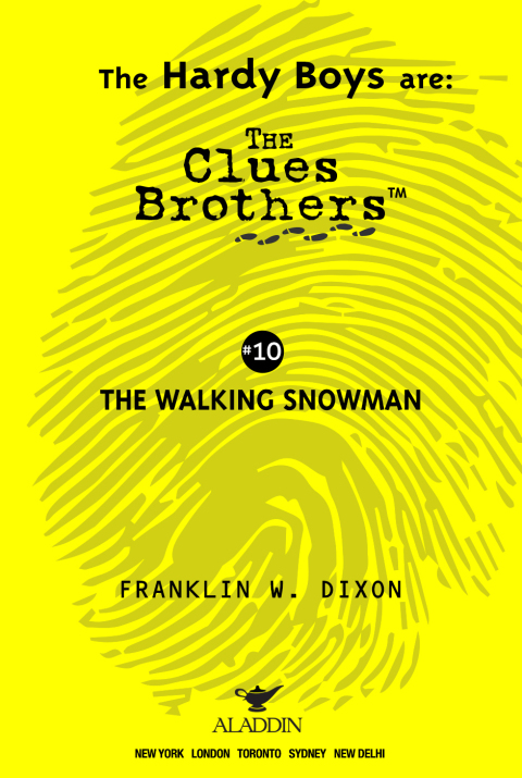 Cover image for book The Walking Snowman