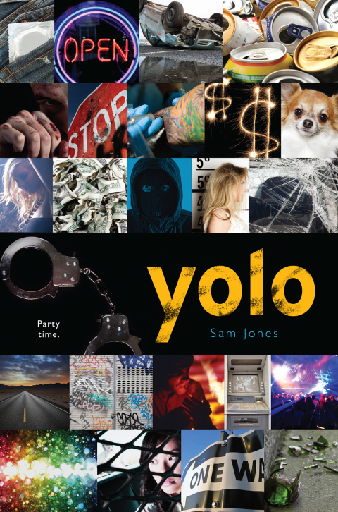 Cover image for book yolo