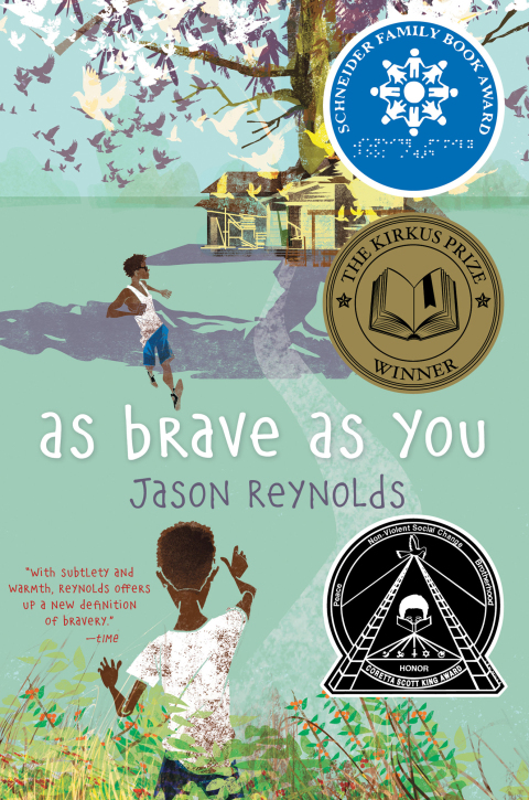 Cover image for book As Brave As You