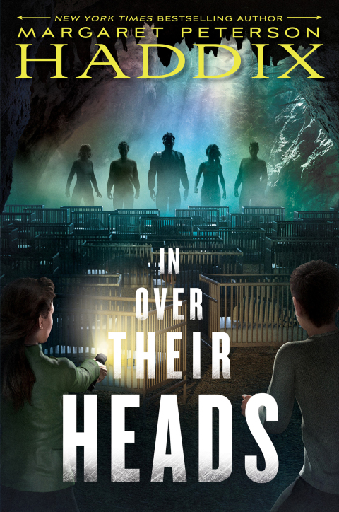 Cover image for book In Over Their Heads