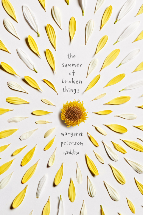 Cover image for book The Summer of Broken Things