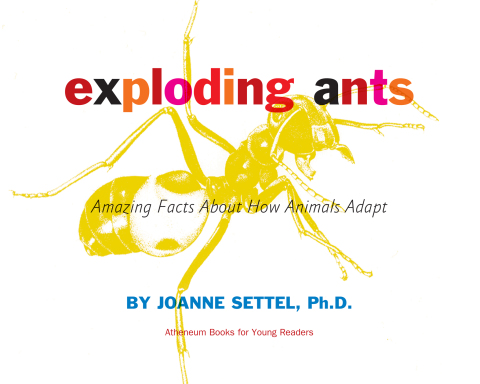 Cover image for book Exploding Ants