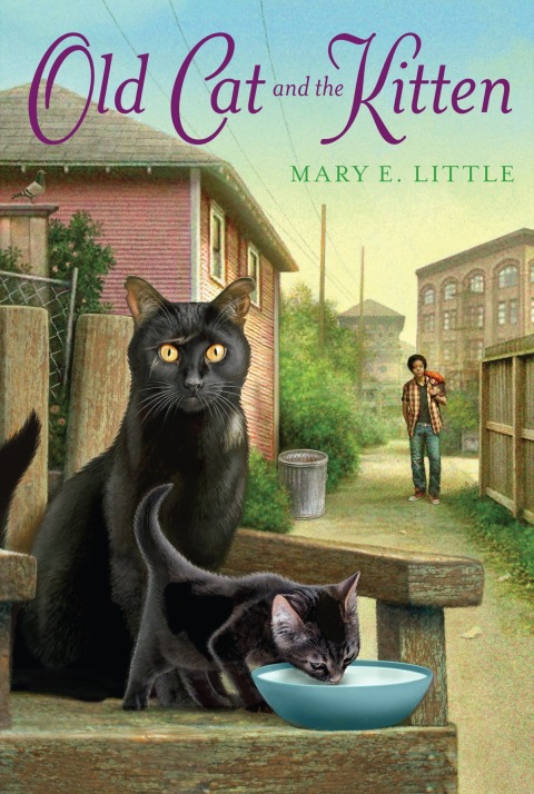 Cover image for book Old Cat and the Kitten