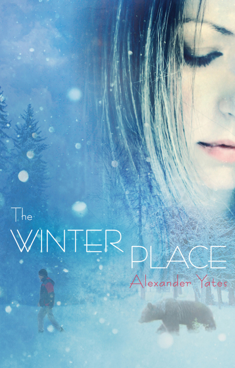 Cover image for book The Winter Place