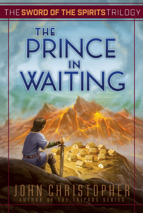 Cover image for book The Prince in Waiting