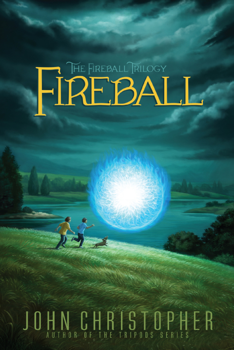Cover image for book Fireball