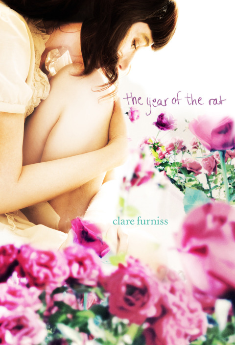 Cover image for book The Year of the Rat