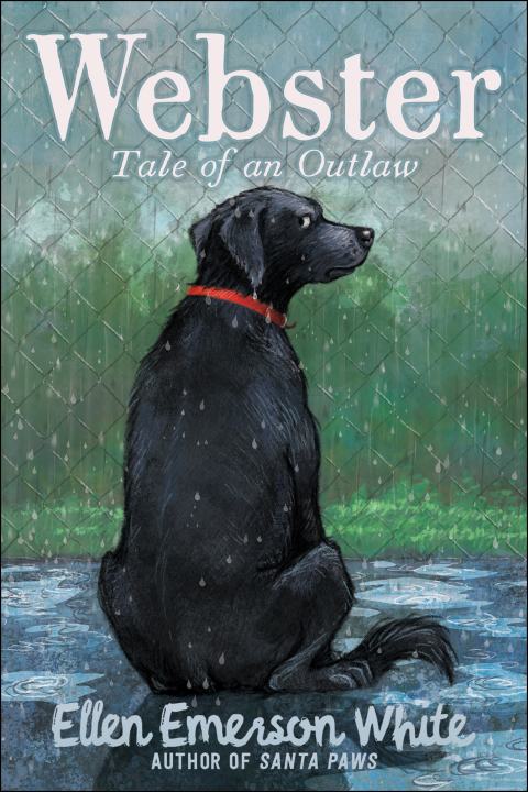 Cover image for book Webster