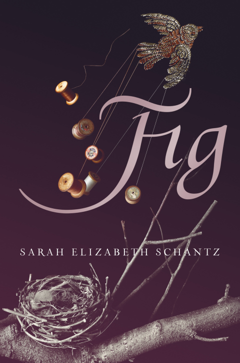 Cover image for book Fig