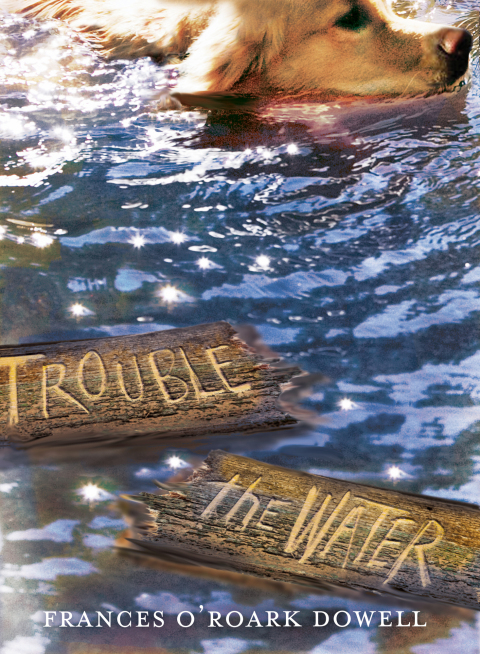 Cover image for book Trouble the Water