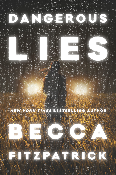 Cover image for book Dangerous Lies