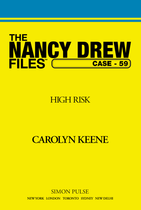 Cover image for book High Risk