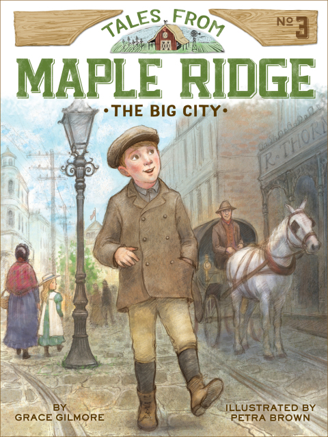 Cover image for book The Big City