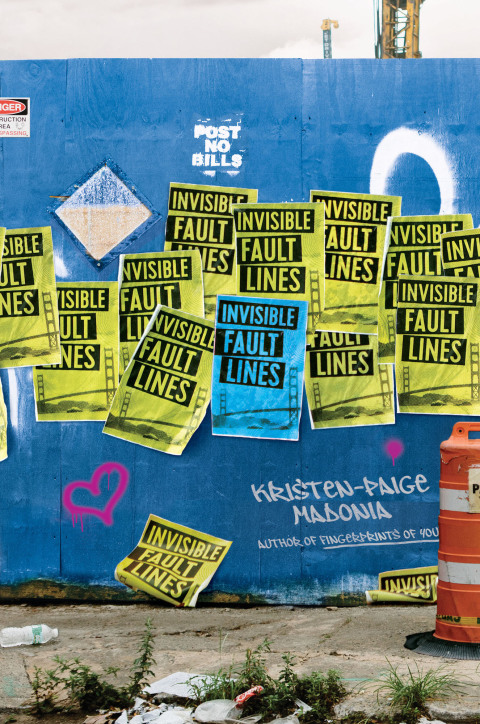 Cover image for book Invisible Fault Lines